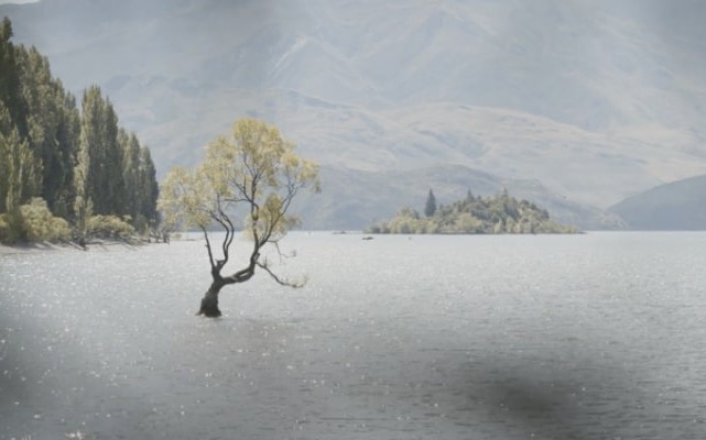 wanaka gallery 3 v2